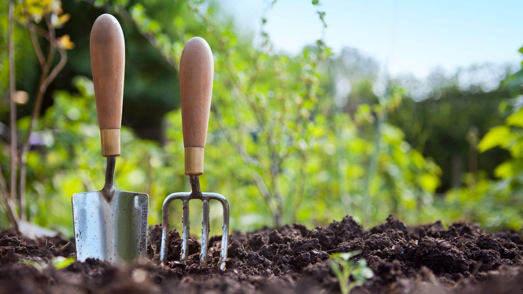 Summer Gardening Tips: Keep Your Garden Thriving in the Heat