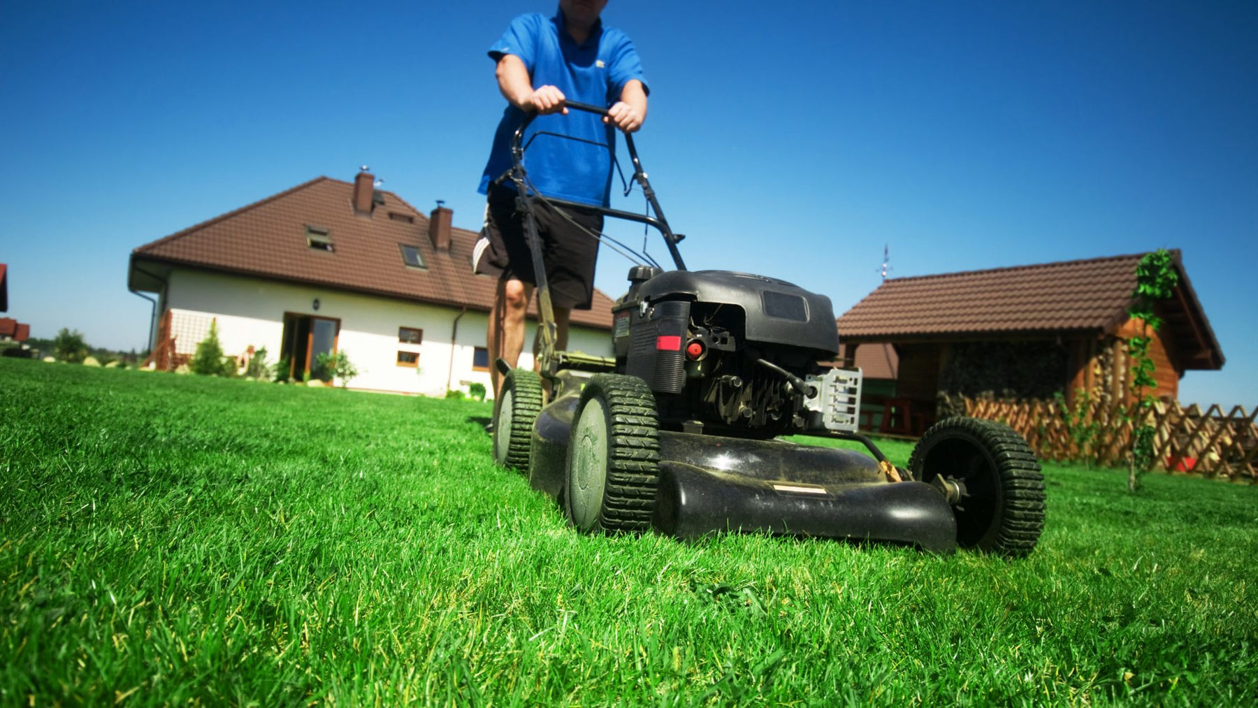 Lawn Care Myths Debunked: Expert Tips for a Lush Lawn