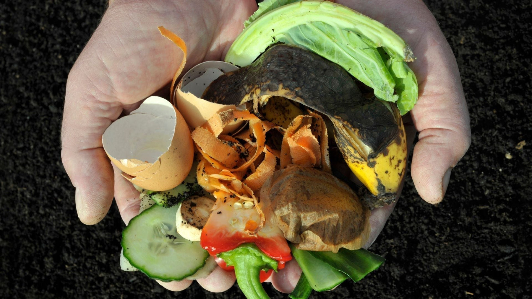 The Beginner’s Guide to Composting: How to Turn Kitchen Scraps into Garden Gold