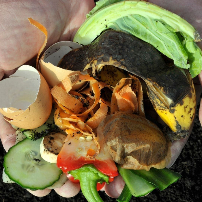 The Beginner’s Guide to Composting: How to Turn Kitchen Scraps into Garden Gold