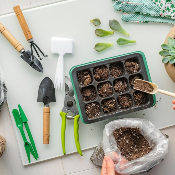 Seed Starting Made Simple: How to Grow Your Garden Indoors Before the Frost Clears