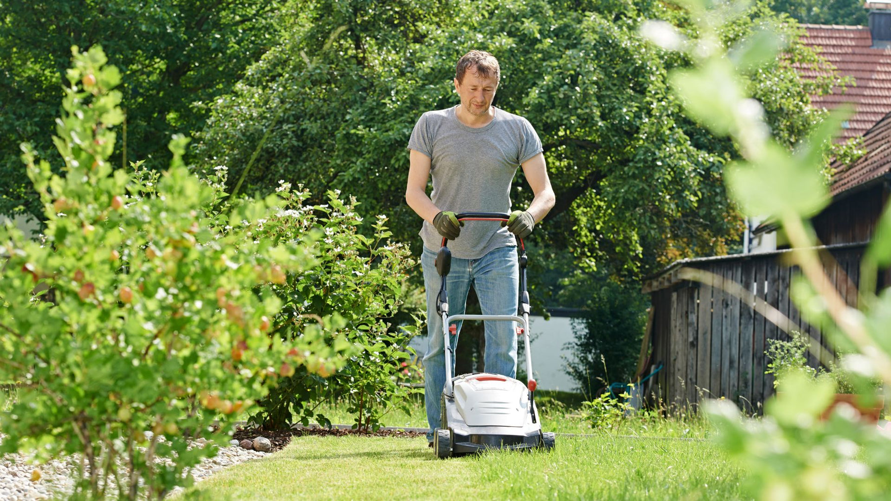 10 Tips for a Lush Green Lawn in Spring
