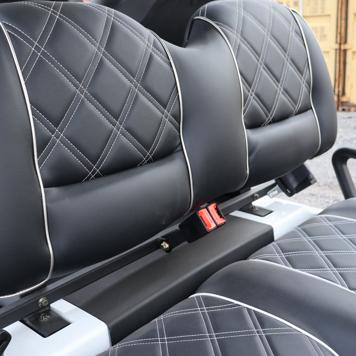 Electro EV Golf Cart
