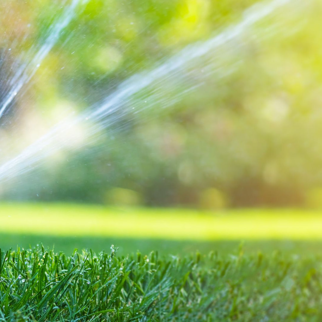 Baker's Ace Hardware — Baker's Ace Hardware