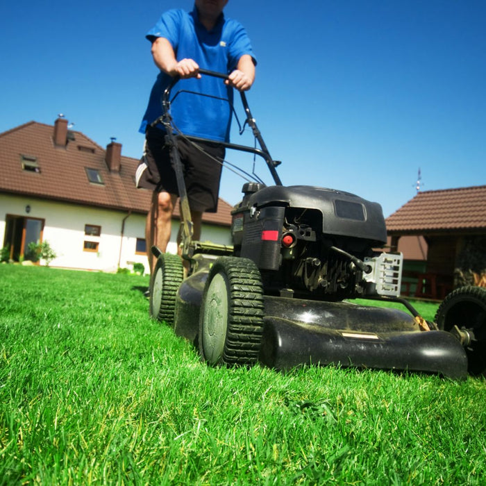 Lawn Care Myths Debunked: Expert Tips for a Lush Lawn