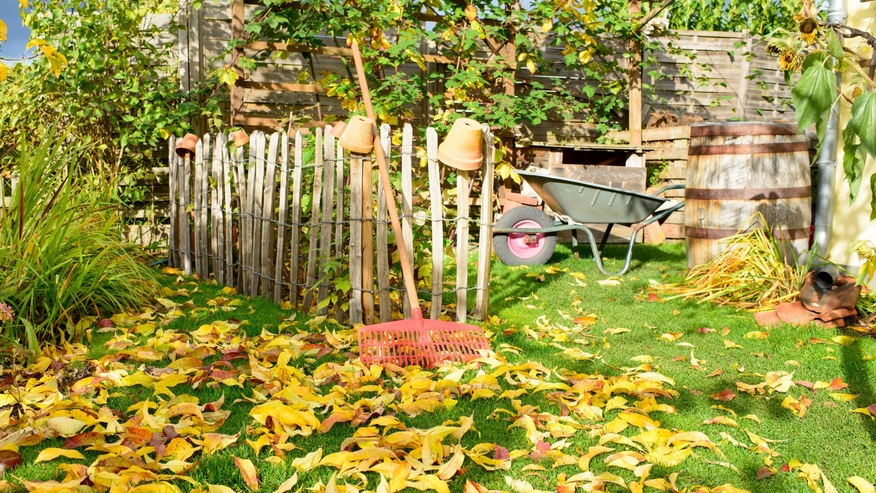 Fall Garden Clean-Up Tips: Preparing Your Garden for the Fall