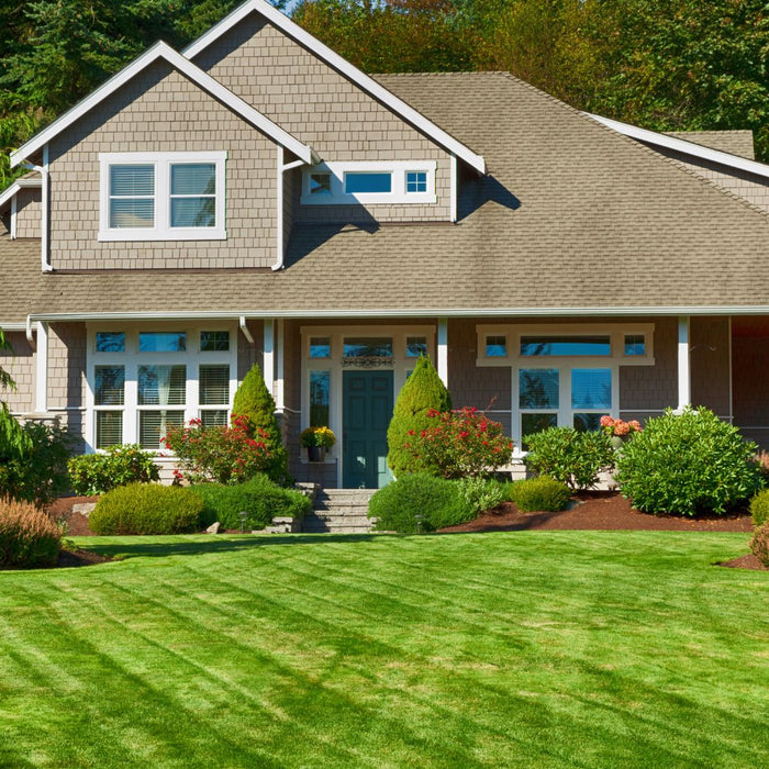 New Year, New Yard: Planning Your Spring Landscaping Projects